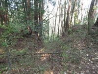 AzumiNishimakijou (11).JPG