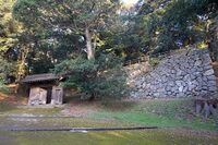 Hamada6.jpg