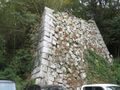 Thumbnail for version as of 09:08, 23 January 2024
