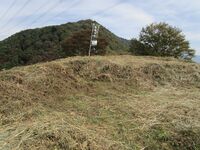 MurakamiWagoujou27.1.JPG