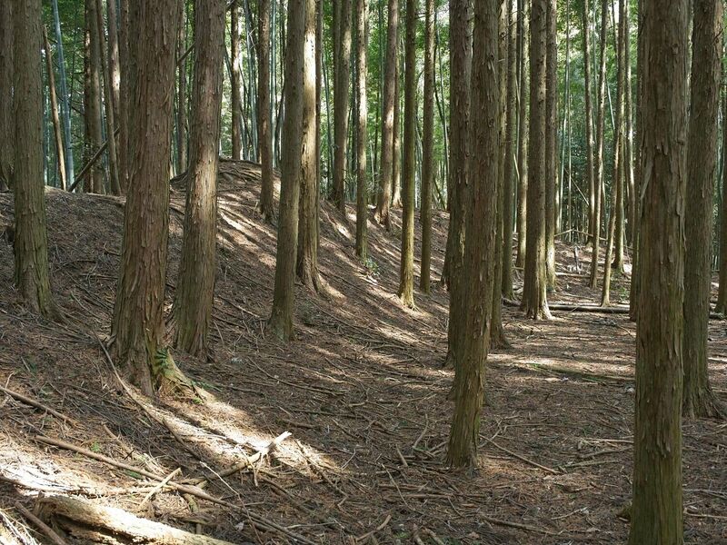 File:Ogawanishinokoka6.jpg