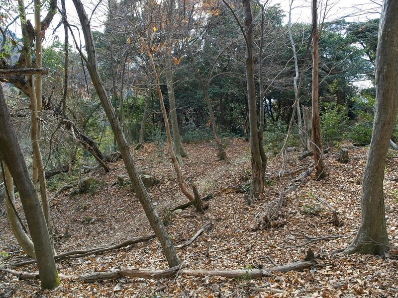 File:Ohyamadejiro28.jpg