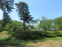 Tenjin'yama (25).JPG