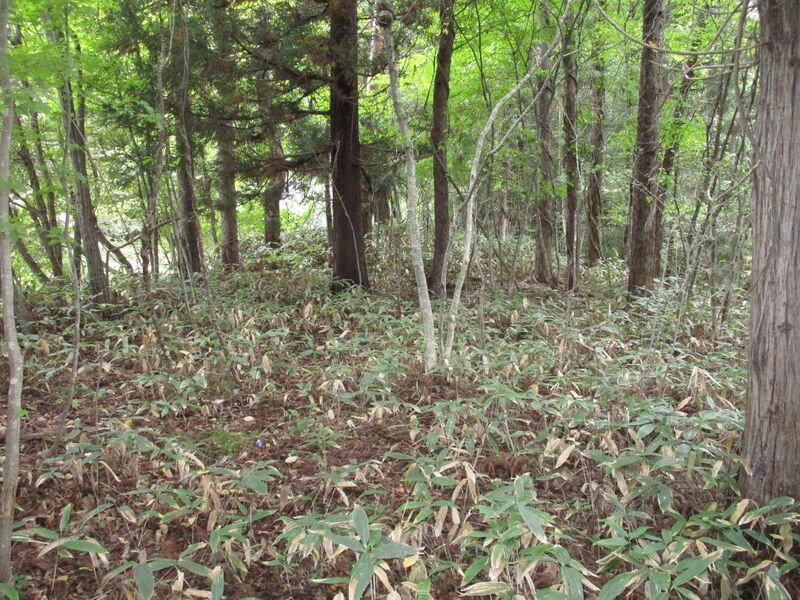 File:Yokosearagamiyamajou (2).jpg