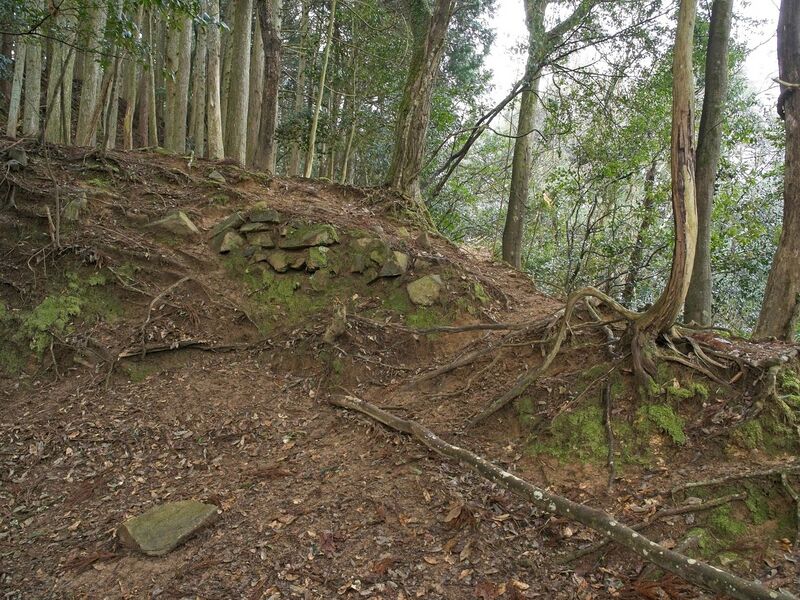 File:Goryu16.jpg