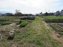 Igawajou (8).JPG