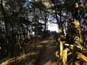 IzuMoriyamajou01.1.JPG