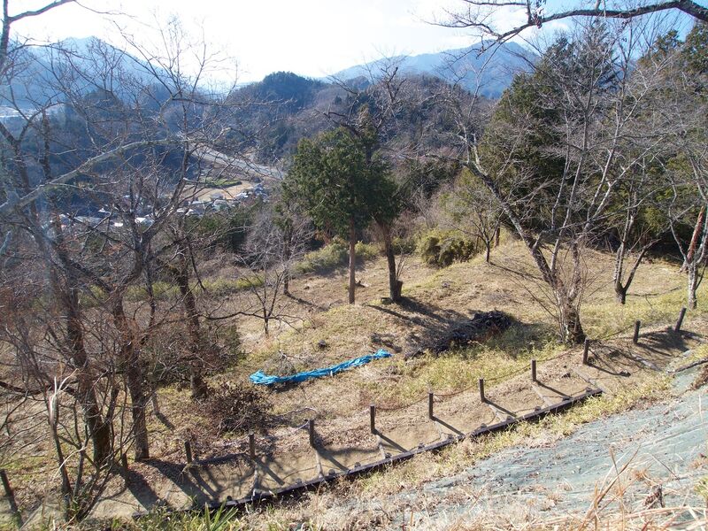 File:Katsuyamatsuru20.jpg