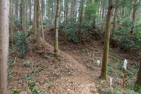 Matsuida22.jpg