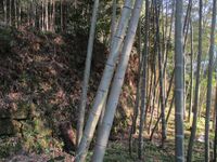NagasakaYashiki (9).jpg