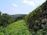 Nanao9.jpg