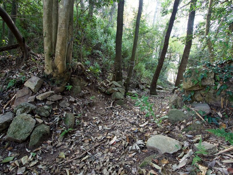File:Niitakayama56.jpg