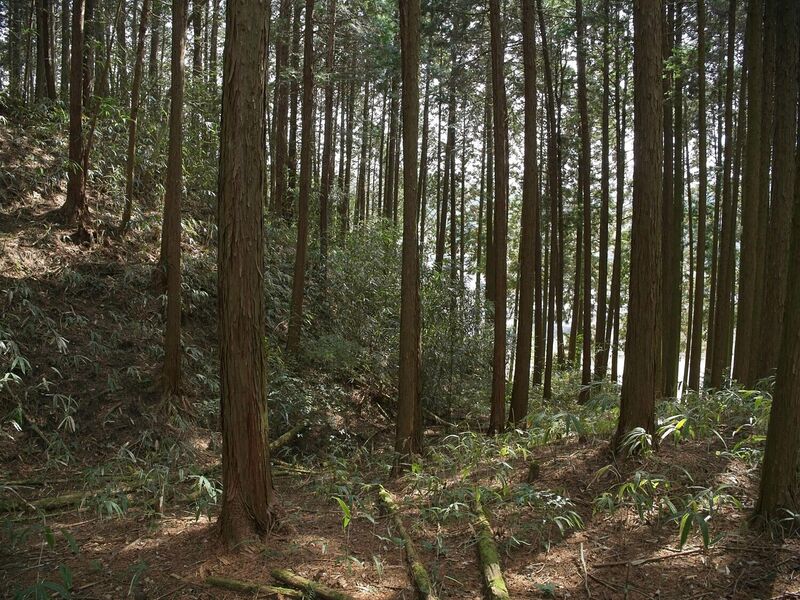 File:Ogawanishinokoka12.jpg