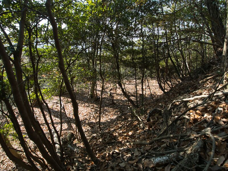 File:Shogunyama13.jpg