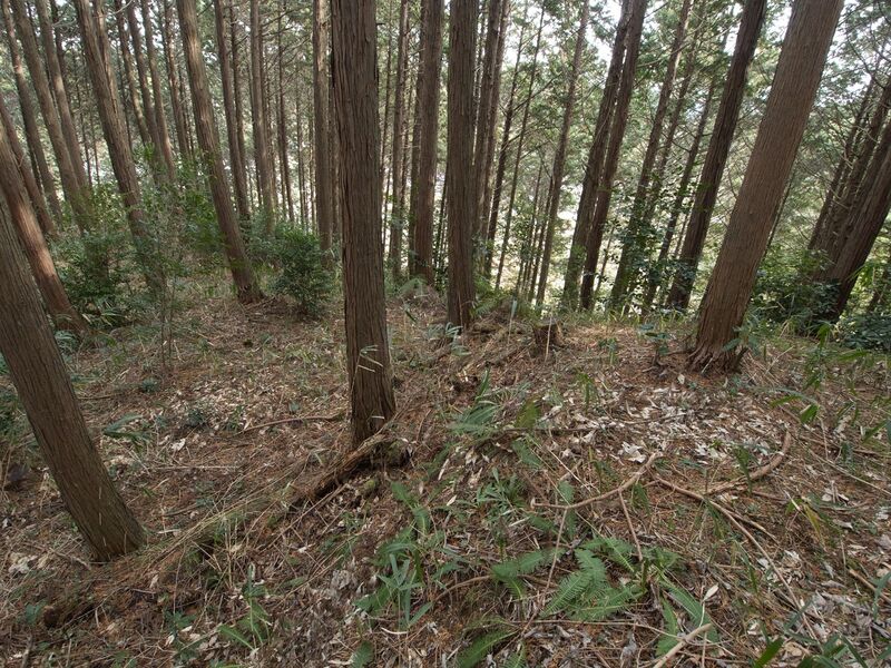 File:Wadakoka16.jpg