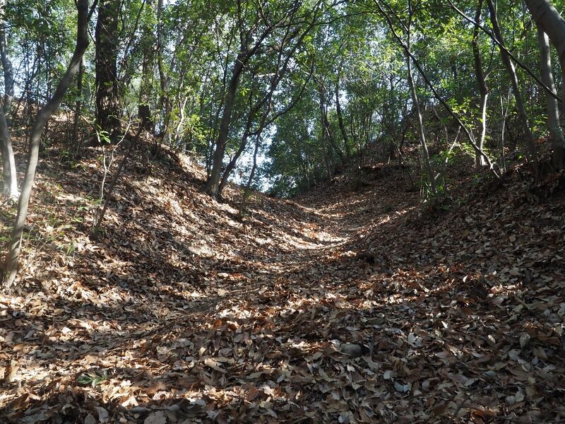 File:Yamana35.jpg