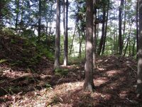 AzumiOhshiojou (1).jpg