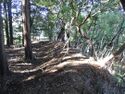DaikanYashiki004.jpg