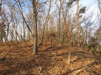 HanishinaTeraojou (10).JPG