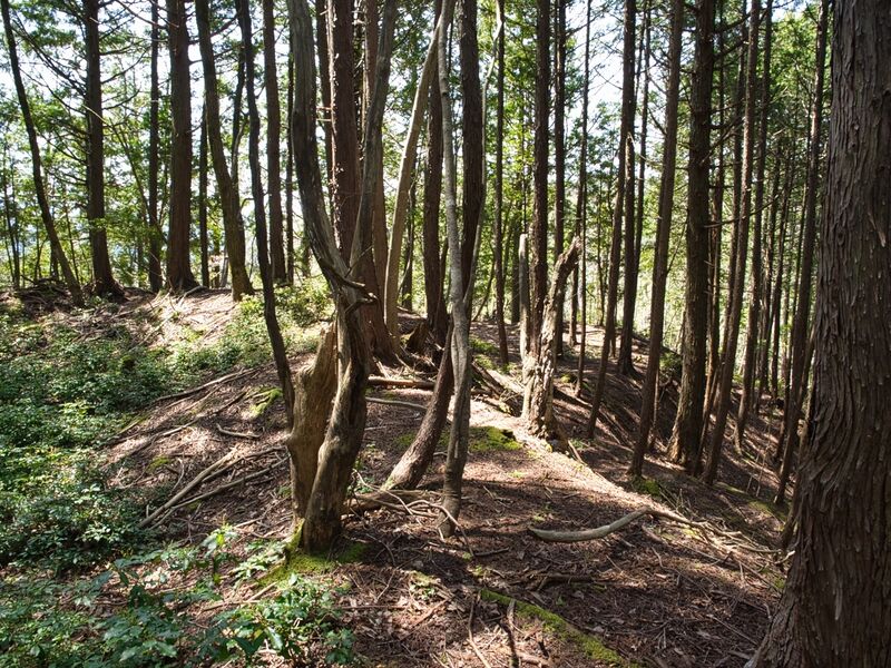 File:Hekitani42.jpg