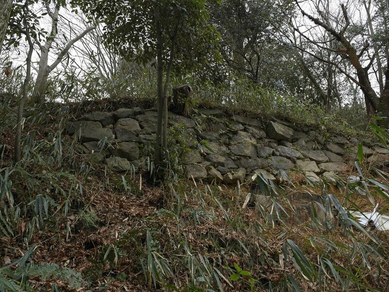 File:Iimori46.jpg