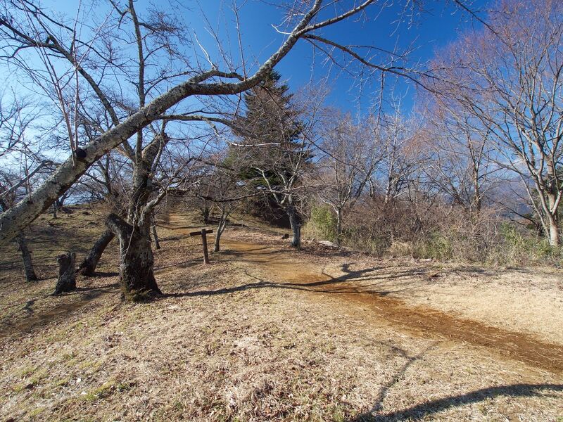 File:Iwadono29.jpg