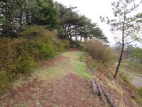 Jinbagaharajou (5).JPG