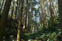 Karasuyama10.jpg