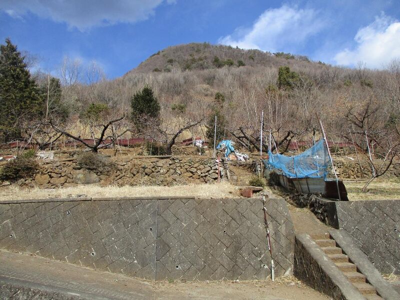 File:KoteshiroToride010.jpg