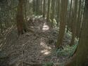 Ogawanakanokoka5.jpg