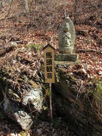 ToishiFukuzawaToride (2).JPG