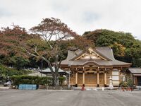 Tokoji4.jpg