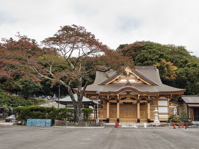 File:Tokoji4.jpg