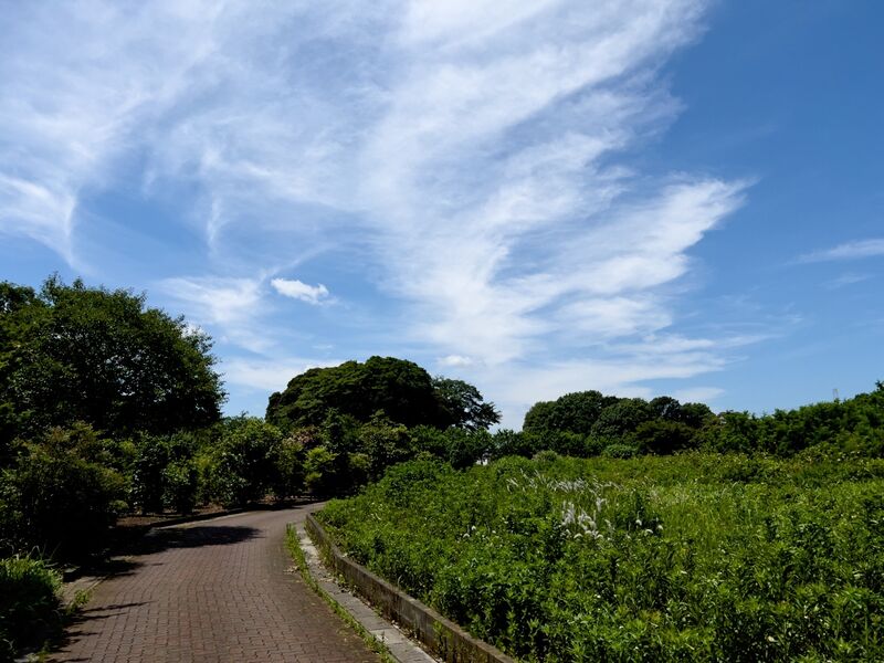 File:Akayamajinya19.jpg
