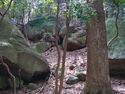 Heda quarry17.jpg