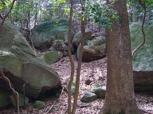 Heda quarry17.jpg