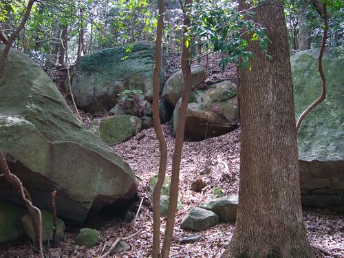 Heda quarry17.jpg