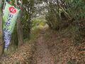 Thumbnail for version as of 22:24, 9 May 2023