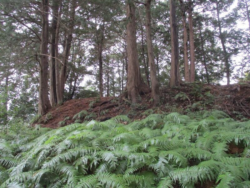 File:Iinoyajou (30).jpg