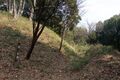 Thumbnail for version as of 07:56, 24 March 2018