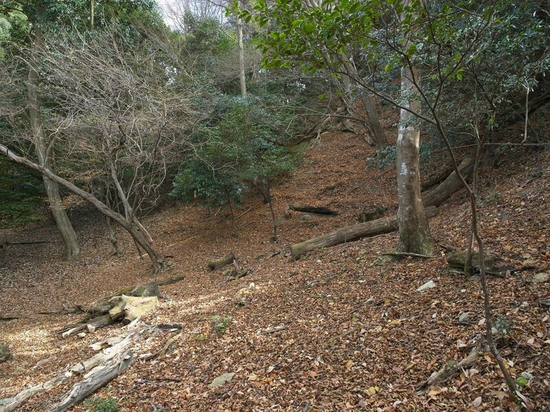 File:Nakaokyoto2.jpg