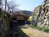 Ojima27.jpg