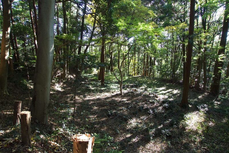 File:Takatome20.jpg