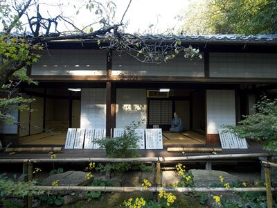 Umoreginoyahikone8.jpg