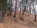 筑摩竹田城01.5.JPG