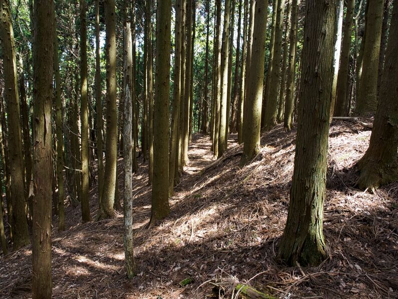 File:Dogiyama25.jpg