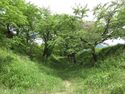 KaiKoyamajou (4).JPG