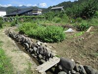 KaiShimizuJinyaYamanashi (4).JPG