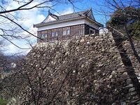 Kameyama1.jpg