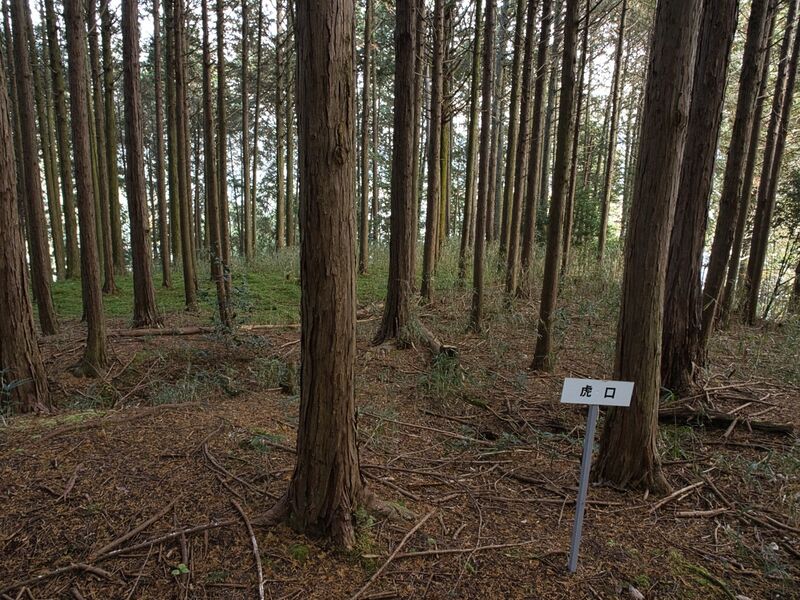 File:Koideyakatakyoto8.jpg